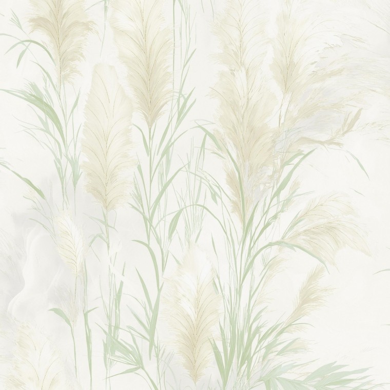 Pampas Grass Feather Wallpaper high quality